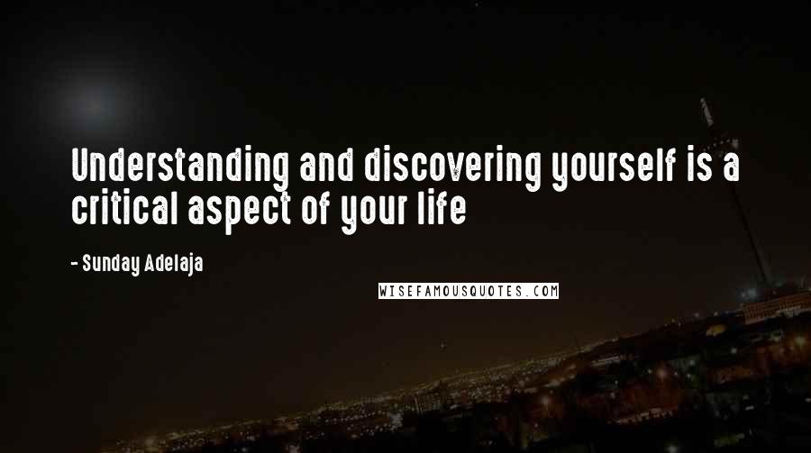 Sunday Adelaja Quotes: Understanding and discovering yourself is a critical aspect of your life