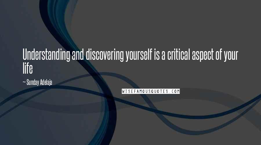 Sunday Adelaja Quotes: Understanding and discovering yourself is a critical aspect of your life