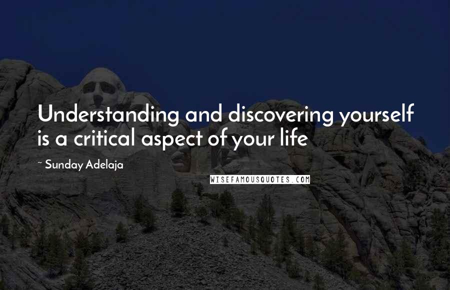 Sunday Adelaja Quotes: Understanding and discovering yourself is a critical aspect of your life