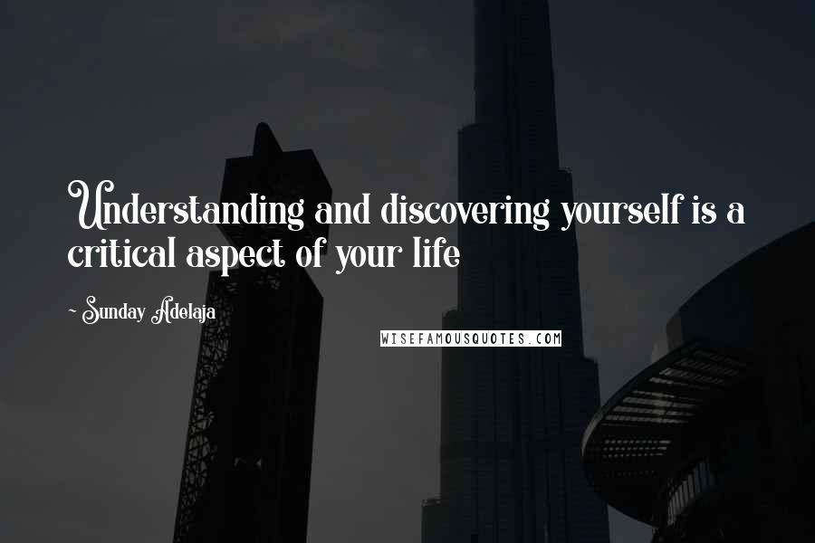 Sunday Adelaja Quotes: Understanding and discovering yourself is a critical aspect of your life