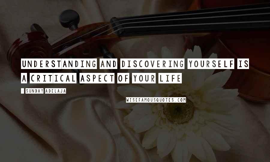 Sunday Adelaja Quotes: Understanding and discovering yourself is a critical aspect of your life