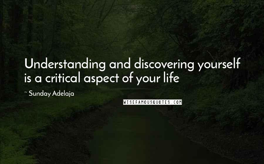 Sunday Adelaja Quotes: Understanding and discovering yourself is a critical aspect of your life