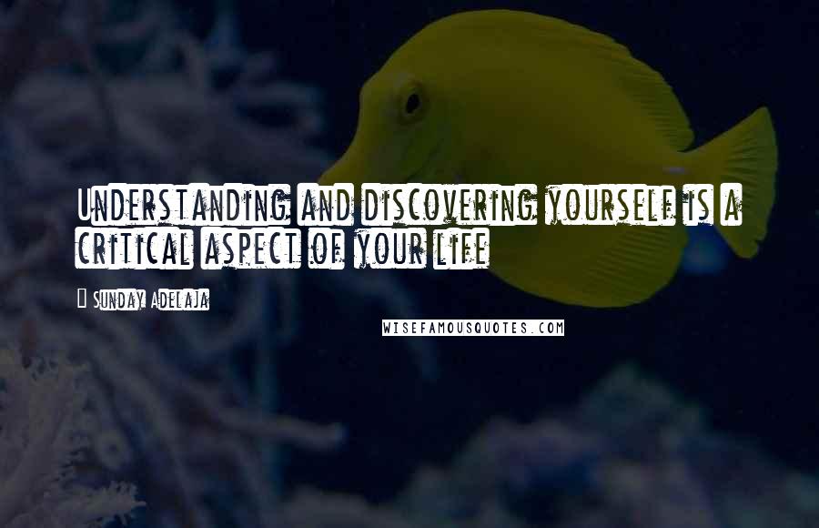 Sunday Adelaja Quotes: Understanding and discovering yourself is a critical aspect of your life