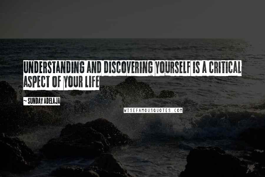 Sunday Adelaja Quotes: Understanding and discovering yourself is a critical aspect of your life