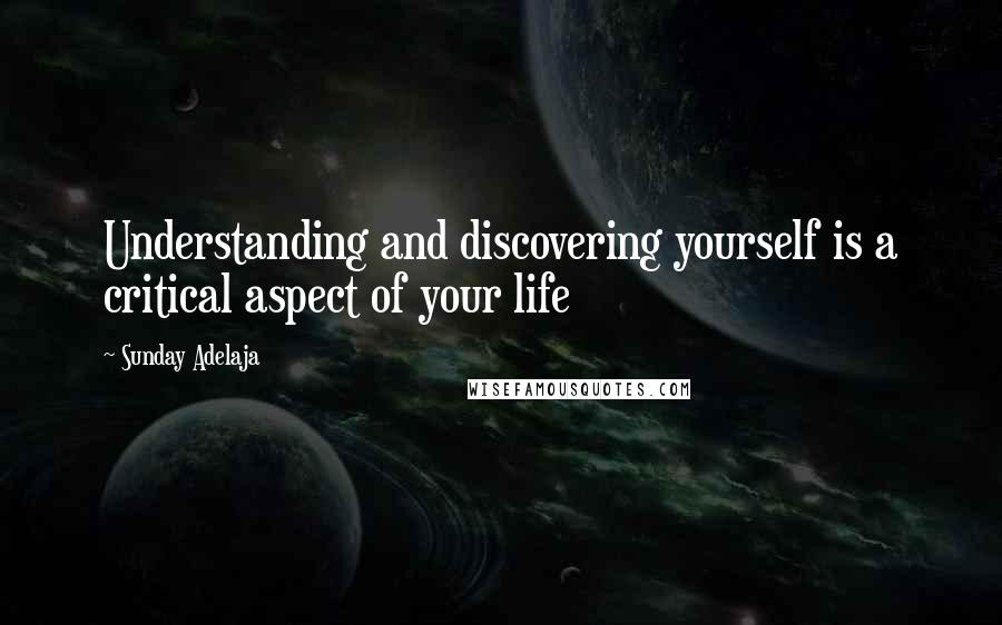 Sunday Adelaja Quotes: Understanding and discovering yourself is a critical aspect of your life