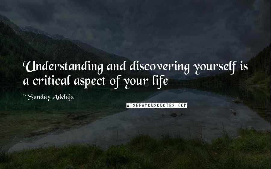 Sunday Adelaja Quotes: Understanding and discovering yourself is a critical aspect of your life