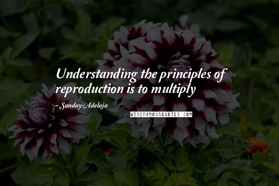 Sunday Adelaja Quotes: Understanding the principles of reproduction is to multiply