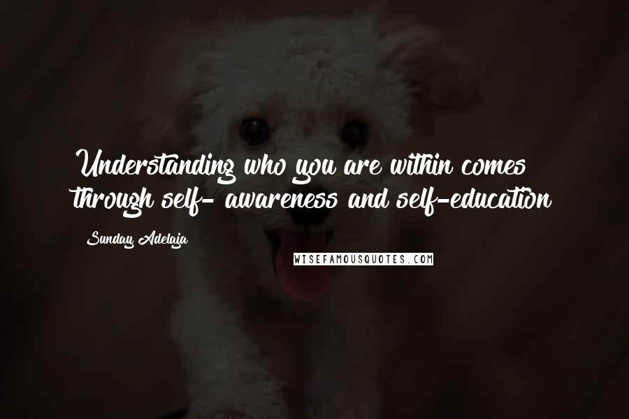 Sunday Adelaja Quotes: Understanding who you are within comes through self- awareness and self-education