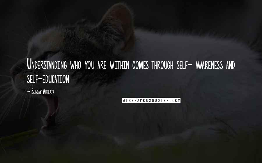 Sunday Adelaja Quotes: Understanding who you are within comes through self- awareness and self-education