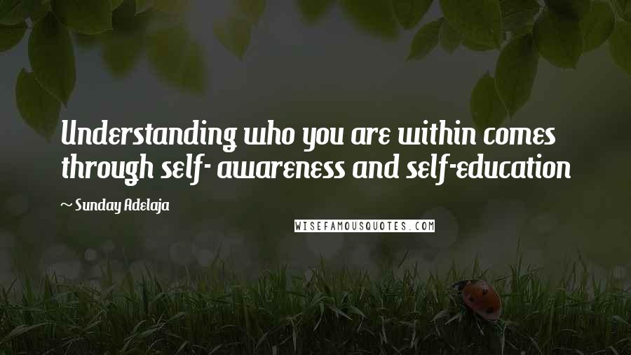 Sunday Adelaja Quotes: Understanding who you are within comes through self- awareness and self-education