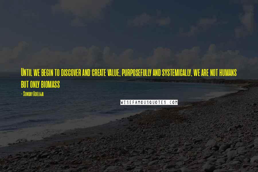 Sunday Adelaja Quotes: Until we begin to discover and create value, purposefully and systemically, we are not humans but only biomass