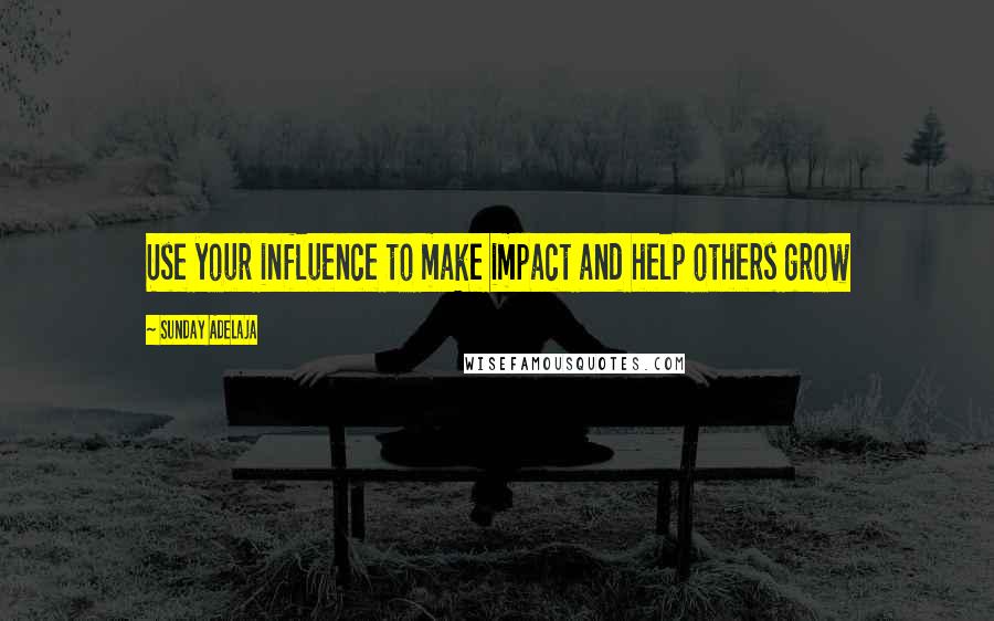 Sunday Adelaja Quotes: Use your influence to make impact and help others grow