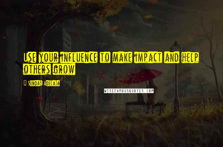 Sunday Adelaja Quotes: Use your influence to make impact and help others grow