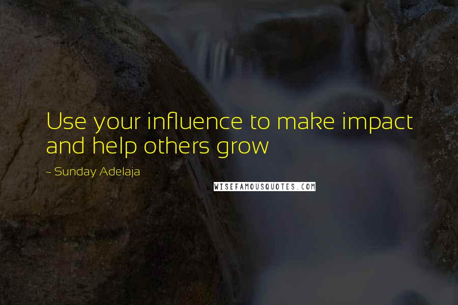 Sunday Adelaja Quotes: Use your influence to make impact and help others grow