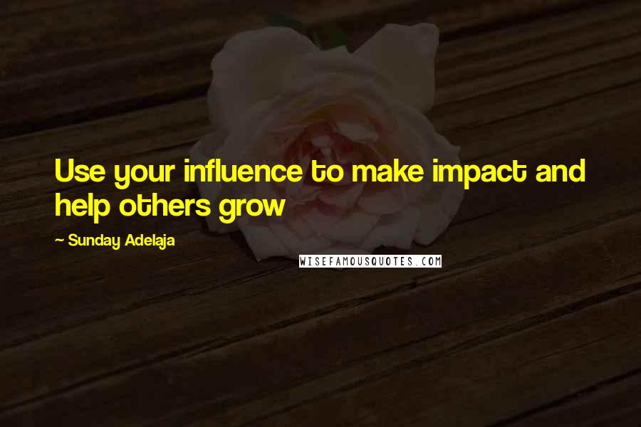 Sunday Adelaja Quotes: Use your influence to make impact and help others grow