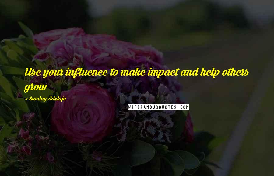 Sunday Adelaja Quotes: Use your influence to make impact and help others grow