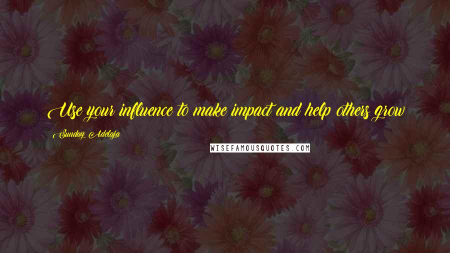 Sunday Adelaja Quotes: Use your influence to make impact and help others grow