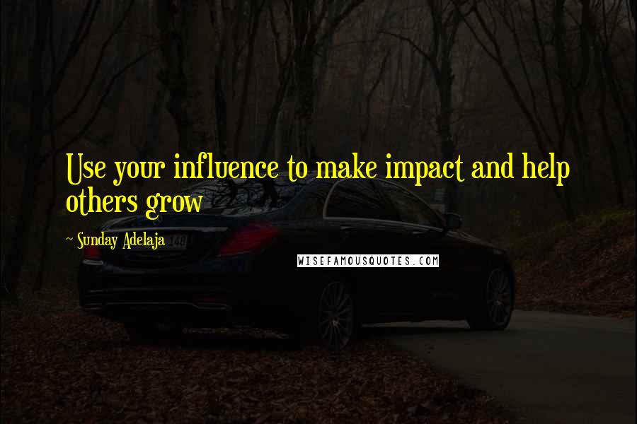 Sunday Adelaja Quotes: Use your influence to make impact and help others grow