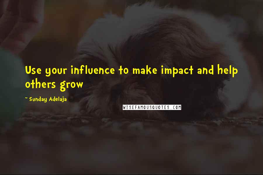 Sunday Adelaja Quotes: Use your influence to make impact and help others grow