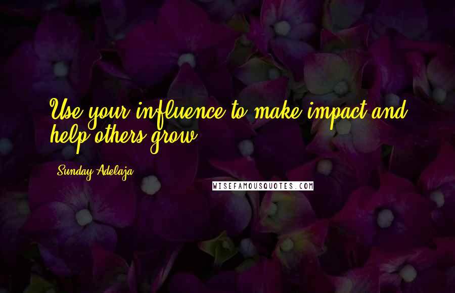 Sunday Adelaja Quotes: Use your influence to make impact and help others grow