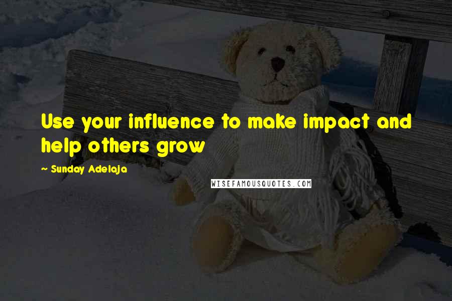 Sunday Adelaja Quotes: Use your influence to make impact and help others grow