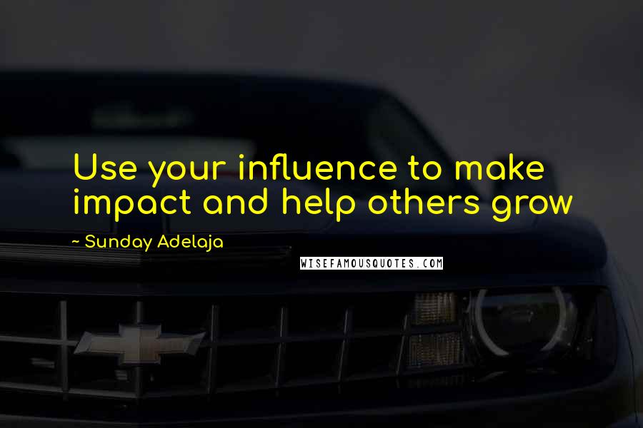 Sunday Adelaja Quotes: Use your influence to make impact and help others grow