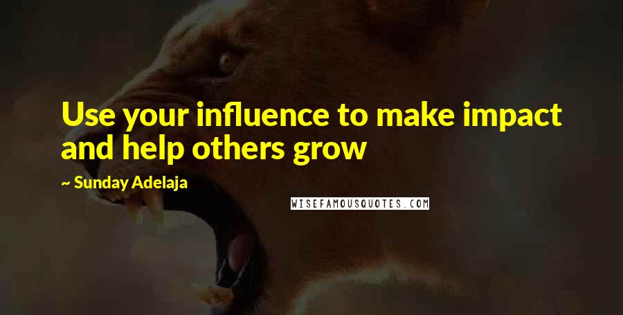 Sunday Adelaja Quotes: Use your influence to make impact and help others grow