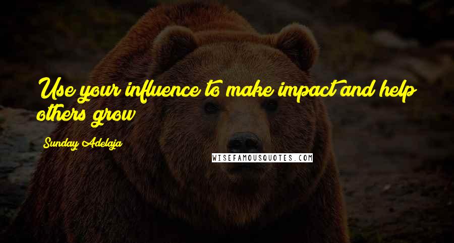 Sunday Adelaja Quotes: Use your influence to make impact and help others grow