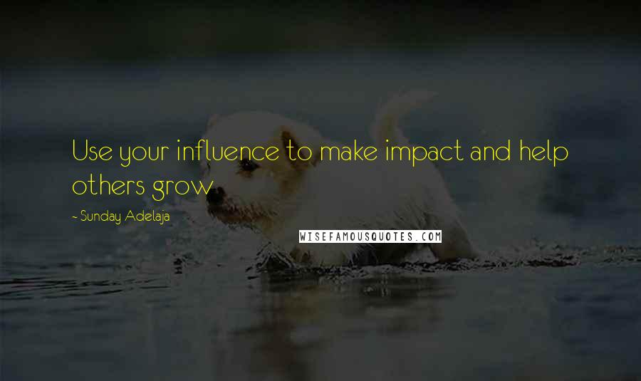 Sunday Adelaja Quotes: Use your influence to make impact and help others grow