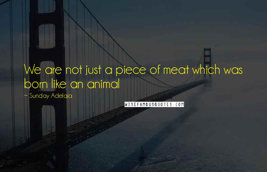 Sunday Adelaja Quotes: We are not just a piece of meat which was born like an animal