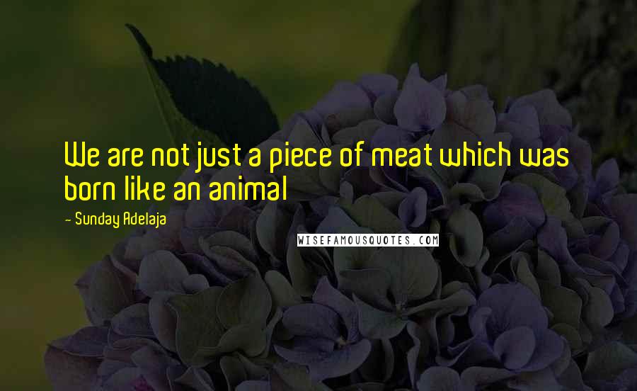 Sunday Adelaja Quotes: We are not just a piece of meat which was born like an animal