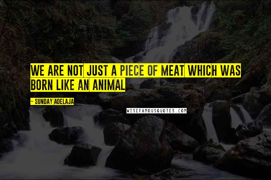 Sunday Adelaja Quotes: We are not just a piece of meat which was born like an animal