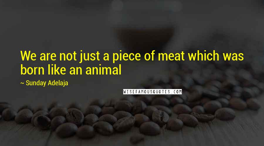 Sunday Adelaja Quotes: We are not just a piece of meat which was born like an animal