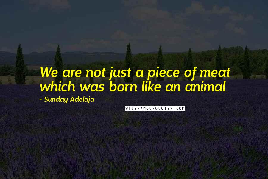 Sunday Adelaja Quotes: We are not just a piece of meat which was born like an animal