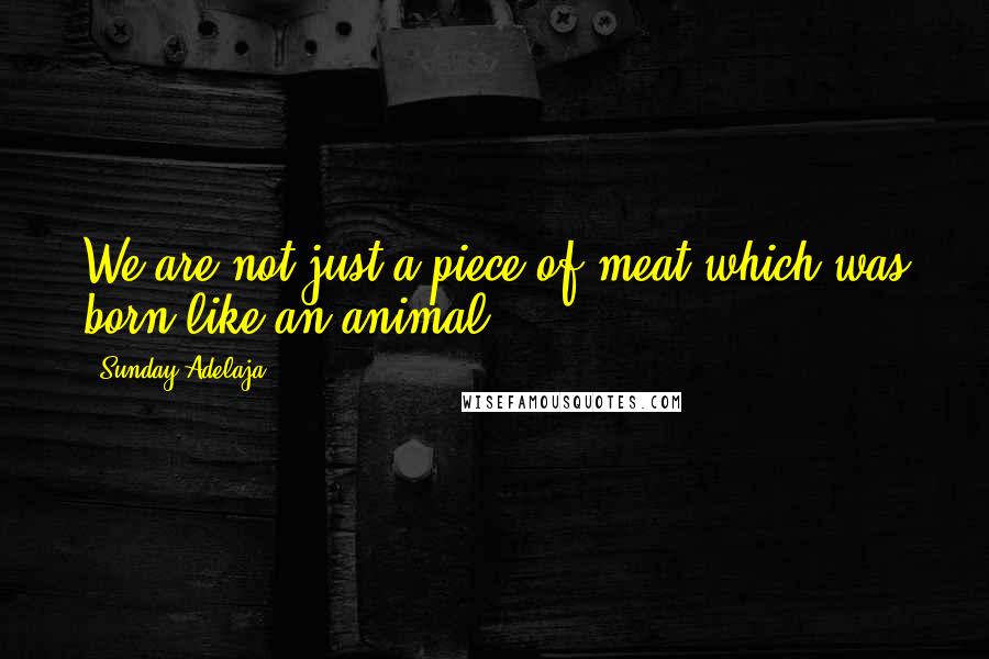 Sunday Adelaja Quotes: We are not just a piece of meat which was born like an animal