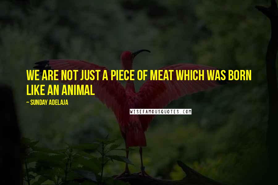 Sunday Adelaja Quotes: We are not just a piece of meat which was born like an animal