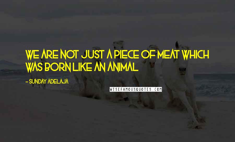 Sunday Adelaja Quotes: We are not just a piece of meat which was born like an animal