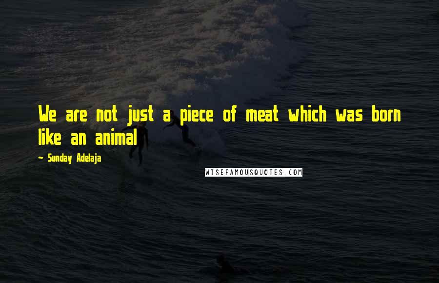 Sunday Adelaja Quotes: We are not just a piece of meat which was born like an animal