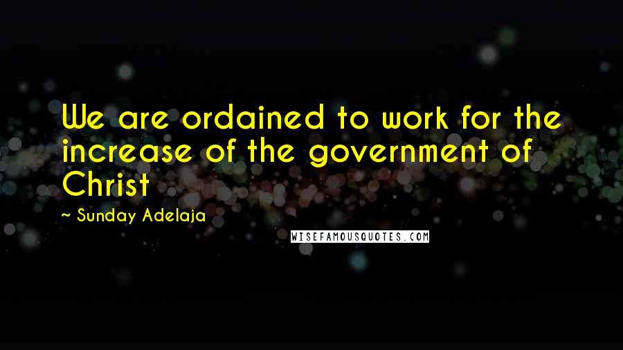 Sunday Adelaja Quotes: We are ordained to work for the increase of the government of Christ