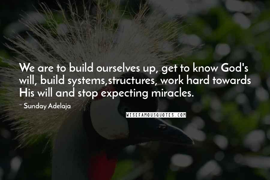 Sunday Adelaja Quotes: We are to build ourselves up, get to know God's will, build systems,structures, work hard towards His will and stop expecting miracles.