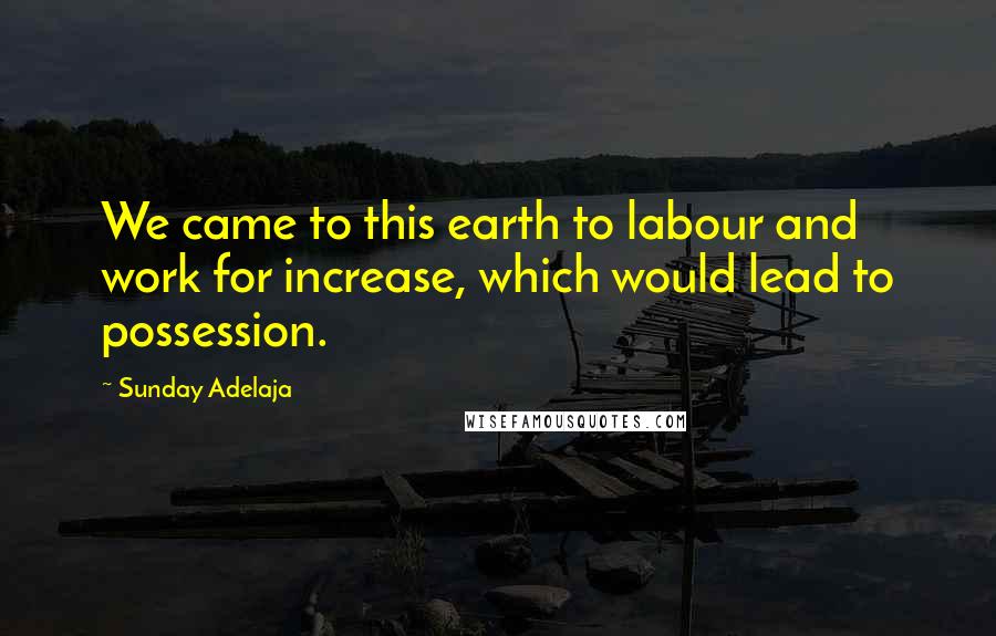 Sunday Adelaja Quotes: We came to this earth to labour and work for increase, which would lead to possession.