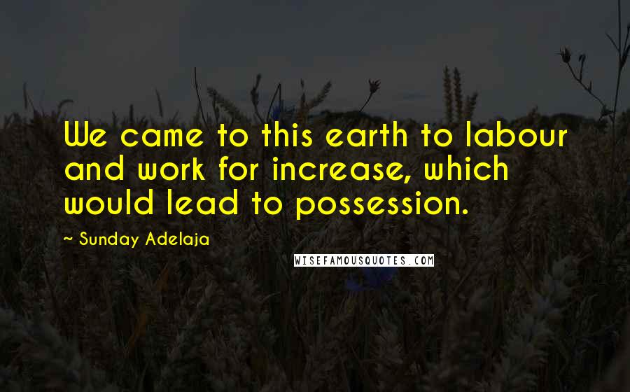 Sunday Adelaja Quotes: We came to this earth to labour and work for increase, which would lead to possession.