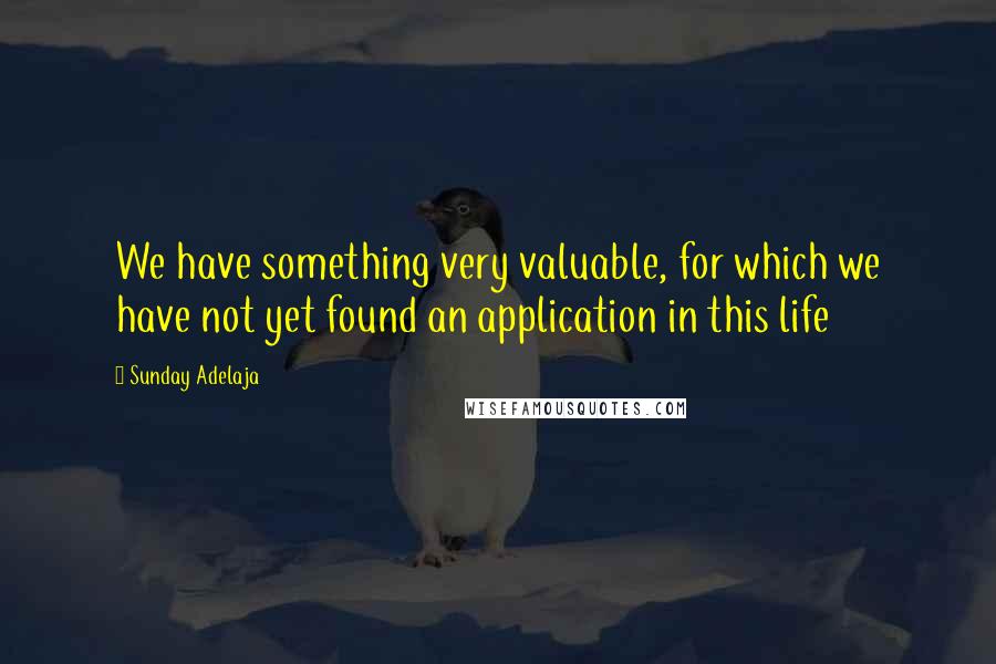 Sunday Adelaja Quotes: We have something very valuable, for which we have not yet found an application in this life