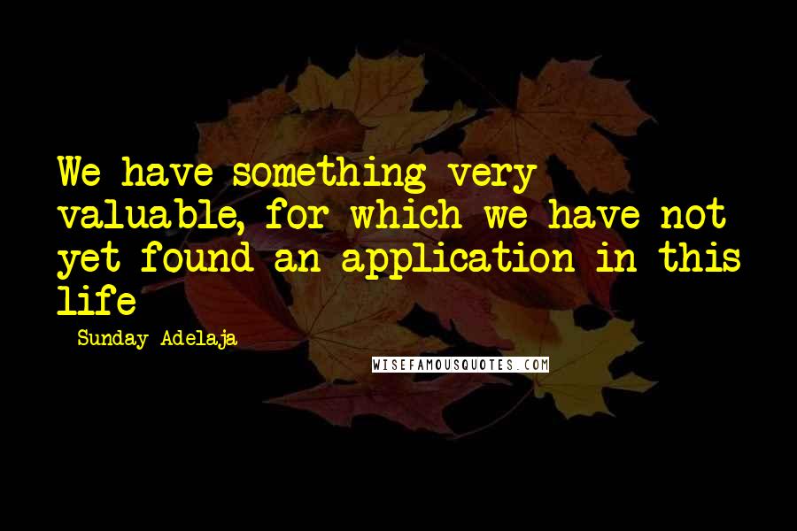 Sunday Adelaja Quotes: We have something very valuable, for which we have not yet found an application in this life