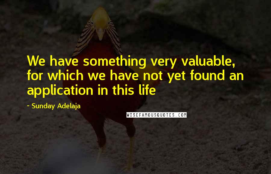 Sunday Adelaja Quotes: We have something very valuable, for which we have not yet found an application in this life