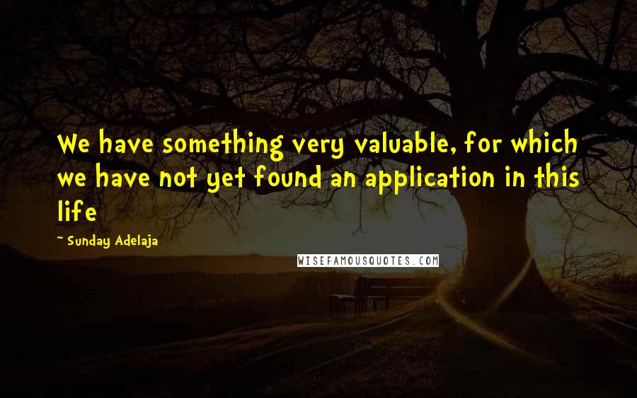 Sunday Adelaja Quotes: We have something very valuable, for which we have not yet found an application in this life