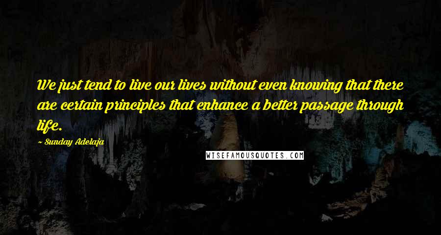 Sunday Adelaja Quotes: We just tend to live our lives without even knowing that there are certain principles that enhance a better passage through life.