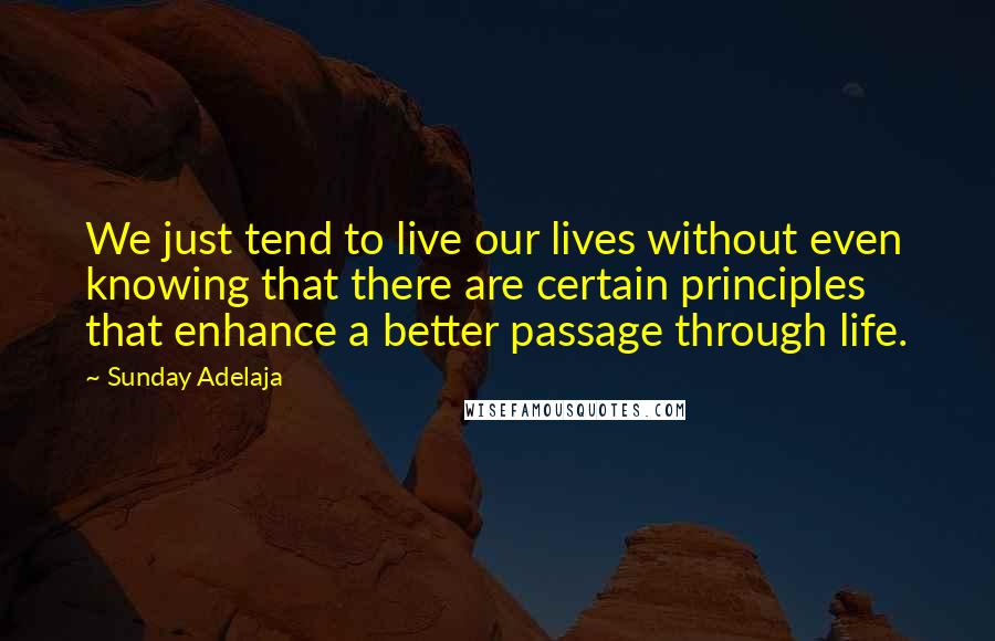 Sunday Adelaja Quotes: We just tend to live our lives without even knowing that there are certain principles that enhance a better passage through life.