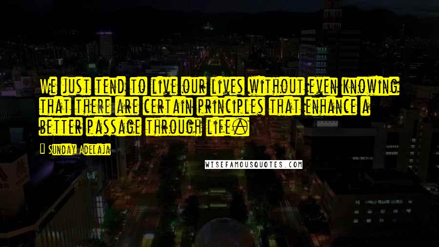 Sunday Adelaja Quotes: We just tend to live our lives without even knowing that there are certain principles that enhance a better passage through life.