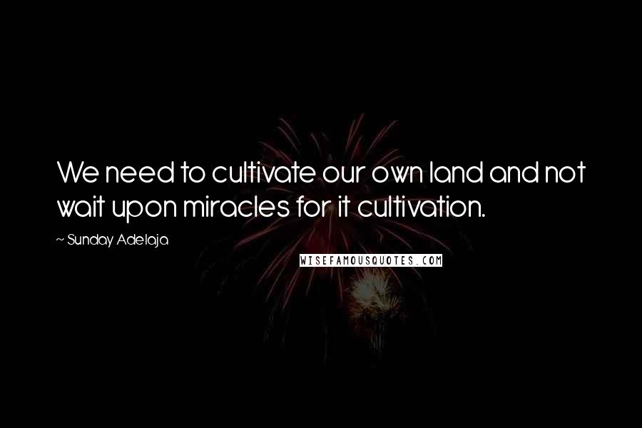 Sunday Adelaja Quotes: We need to cultivate our own land and not wait upon miracles for it cultivation.